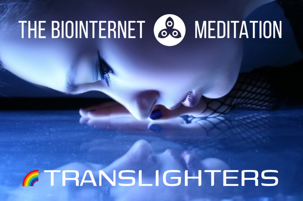 The Biointernet Meditation